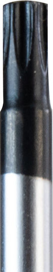 Bormann Pro Μαγνητικό Κατσαβίδι Torx Μεγέθους T20x100mm BHT7032