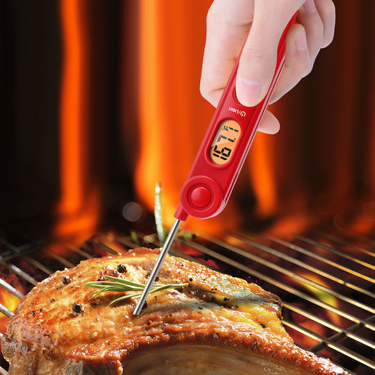 Thermo Pro Ψηφιακό Θερμόμετρο Μαγειρικής με Ακίδα -50°C / +300°C