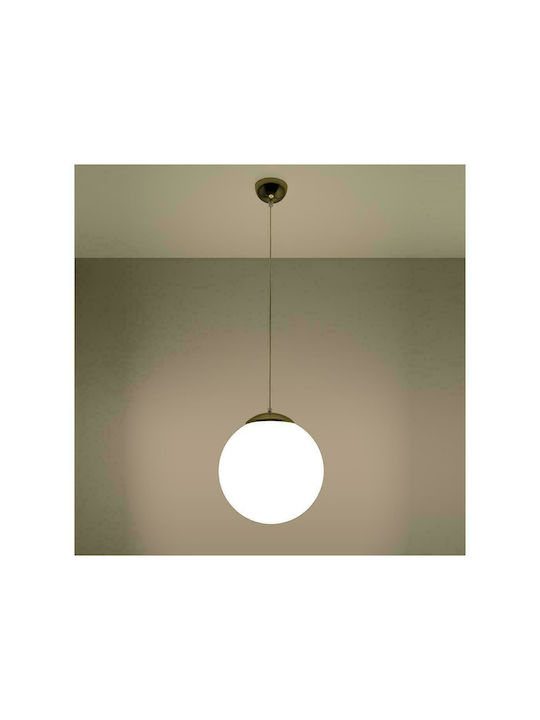 Sollux Toya 30 Pendant Light Single-Light for Socket E27 Gold