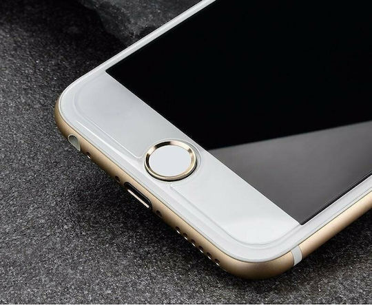 Tempered Glass (Huawei P40)