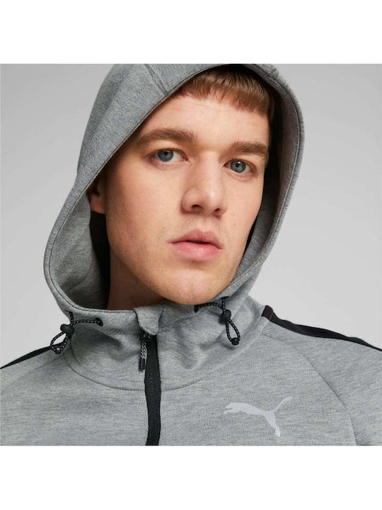 Evostripe Sweatshirt Für Herren Mit Kapuze Grau