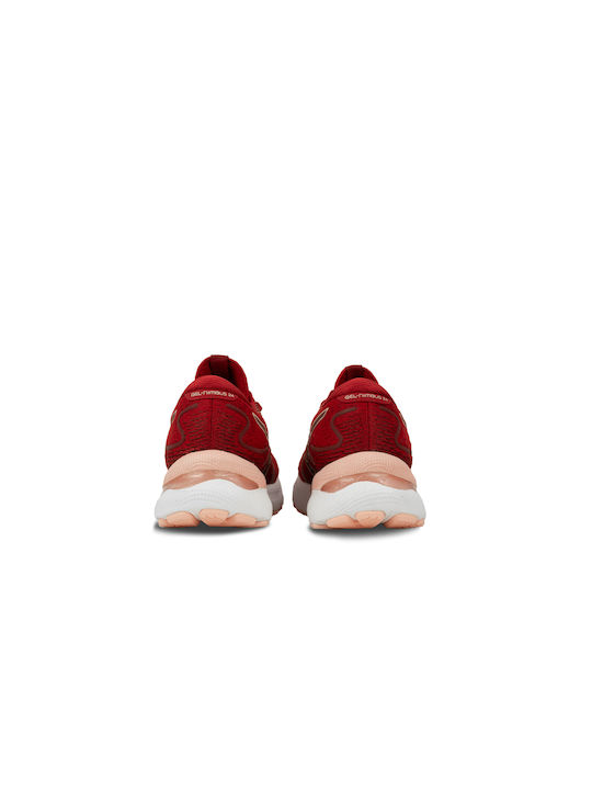 Gel-Nimbus 24 Damen Sportschuhe Laufen Cranberry / Frosted Rose