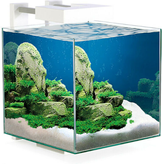 Ciano Nexus Pure 15 Fish Aquarium Capacity 14lt with 25x25x30.2cm White