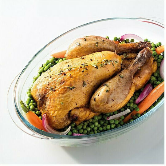 Ocuisine S2701199 Sticlă
