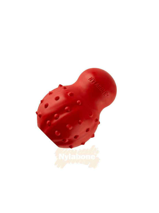 Nylabone Hundespielzeug Knochen XSklein Rote