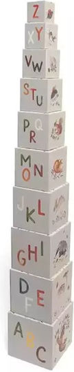 Petit Monkey Activity Cube Cubes Wild Animals for 12++ Months