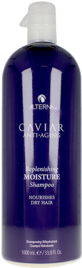 Alterna Caviar Anti-Aging Replenishing Moisture Shampoos Glättung & Glanz für Trocken Haare 1000ml