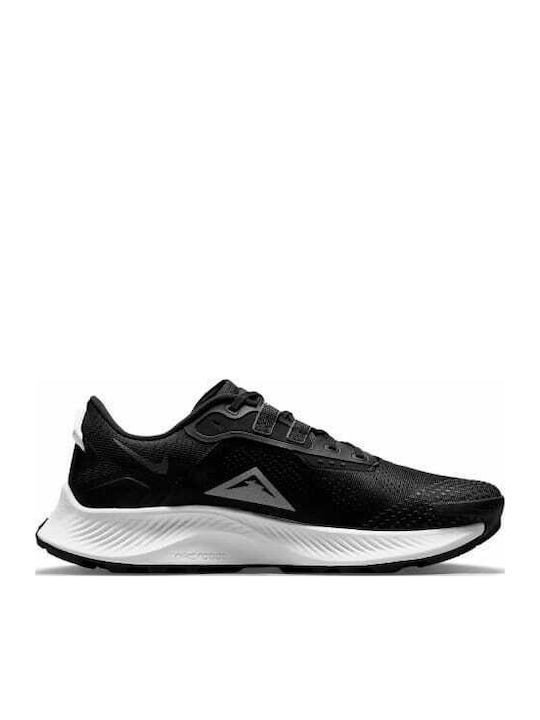Nike Pegasus Trail 3 Ανδρικά Αθλητικά Παπούτσια Trail Running Black / Dark Smoke Grey / Pure Platinum