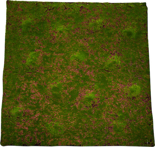 Synthetic Turf in Roll 1x1m