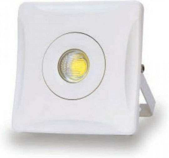 Spot Light Rezistent la apă Proiector LED 10W Alb Natural 4000K IP65