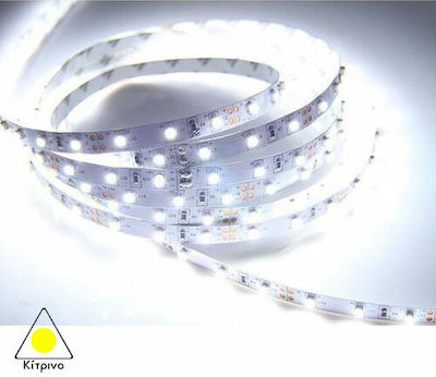 Eurolamp Bandă LED Alimentare 12V cu Lumină Galben Lungime 5m și 60 LED-uri pe Metru SMD2835