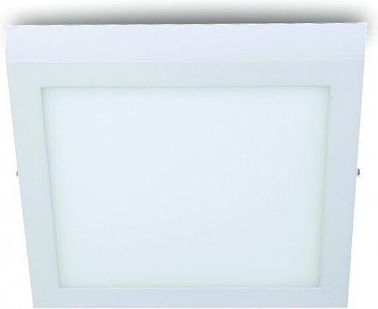 Spot Light Square Outdoor LED Panel 36W with Natural White Light 4000K 40x40cm