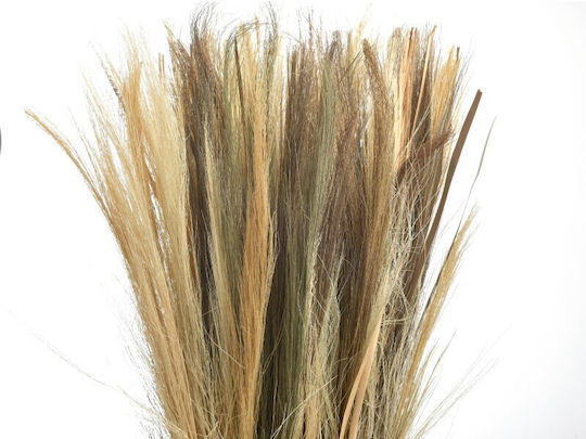 Μπουκέτο από Pampas grass Μπεζ Inart