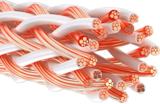 Kimber Kable Cable Ατερμάτιστο - Ατερμάτιστο 1m (12TC)