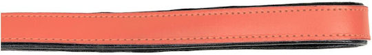 Gloriapets Hundeleine/Führleine Leder Padded Soft in Orange Farbe 1m x 1.8cm