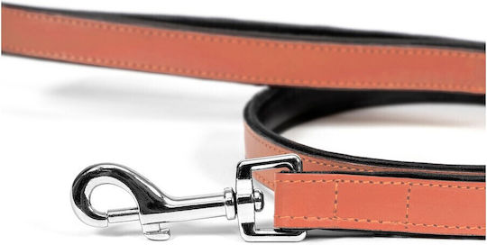 Gloriapets Hundeleine/Führleine Leder Padded Soft in Orange Farbe 1m x 1.8cm