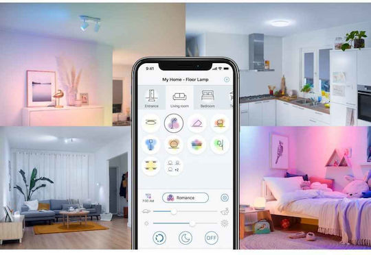 WiZ Imageo Double Spot with Socket GU10 in White Color