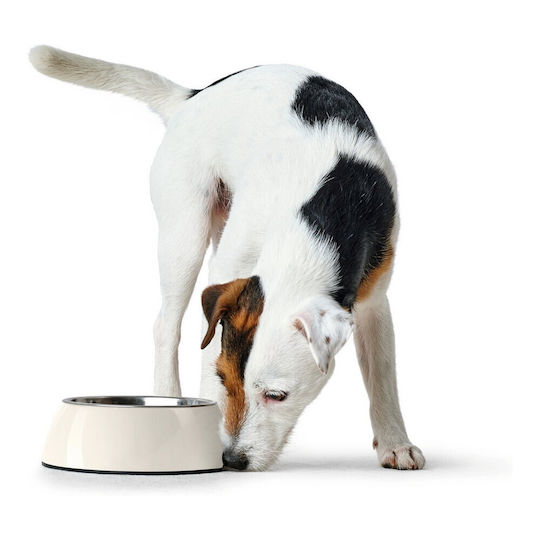 Hunter Stainless Steel Bowl Food & Water for Dog & Cat 160ml 14.5cm in White Color