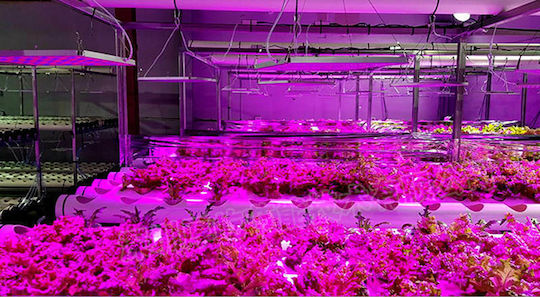 Κρεμαστό Grow Light με LED