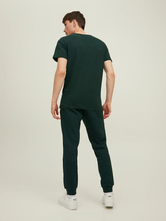 T-shirt Pine Grove