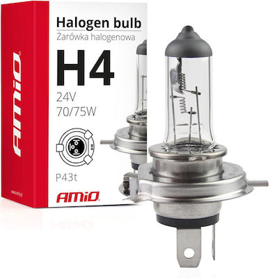 AMiO Lamps Car H4 Halogen 24V 75W 1pcs