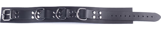 Kinksters Яка Кожен нашийник Ultra Black