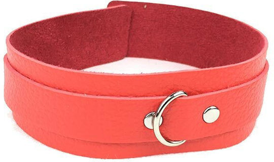 BDSM Kit σε Κόκκινο Χρώμα 11τμχ
