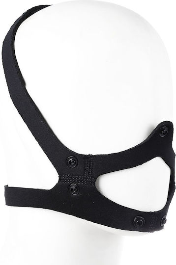 Kiotos Hunde Welpe BDSM Maske Blau