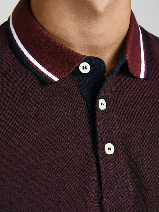 Polo T-shirt Port Royale / White 12136668