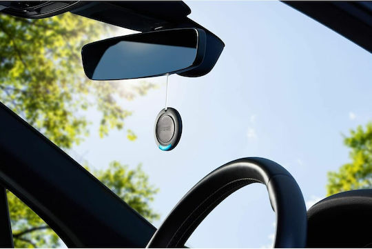 Axe Lufterfrischer Anhänger Auto Eiseskälte 1Stück