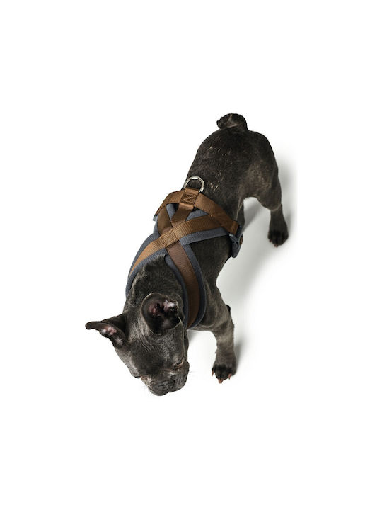 Hunter Dog Harness London Comfort Brown Small / X-Small 39-47cm 013577