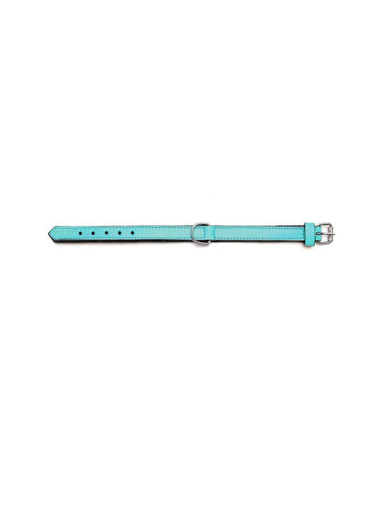 Gloriapets Weiches Gepolstertes Hundehalsband Leder in Türkis Farbe 15mm x 35cm Gloriapets Weiches Gepolstertes Hundehalsband Leder in Türkis Farbe 15mm x 35cm