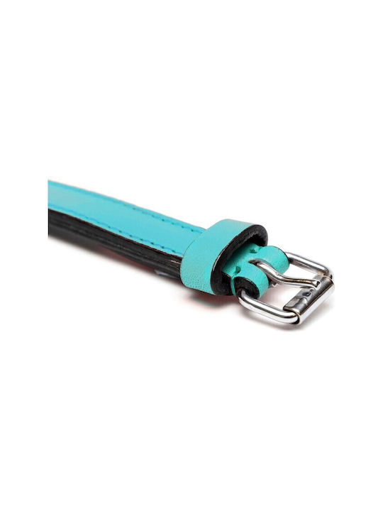 Gloriapets Soft Padded Hundehalsband Leder in Türkis Farbe 15mm x 35cm
