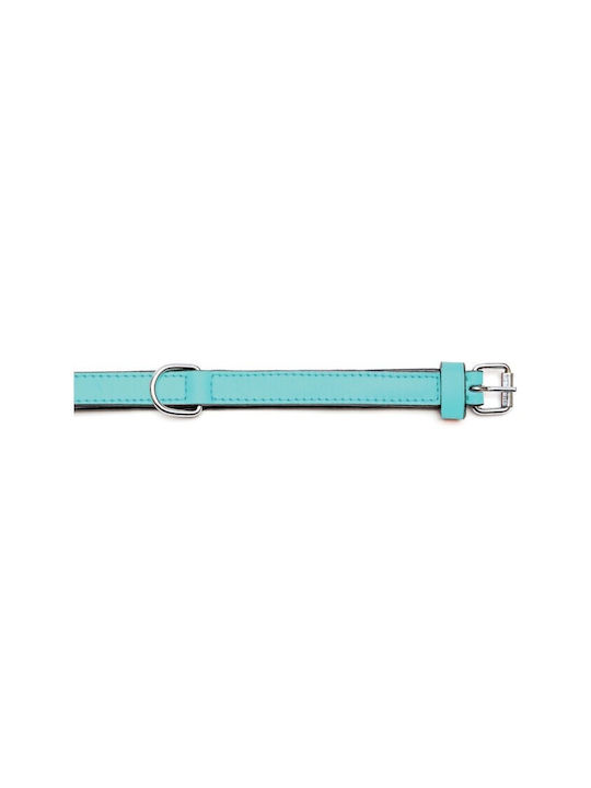 Gloriapets Soft Padded Hundehalsband Leder in Türkis Farbe 15mm x 35cm