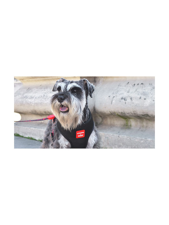 Dashi Dog Harness Vest Neo Mesh Bella Ciao Red XX-Large 5.7mm x 91-130cm MO0000002914