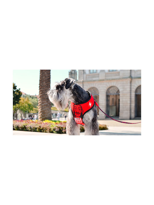 Dashi Dog Harness Vest Neo Mesh Bella Ciao Red XX-Large 5.7mm x 91-130cm MO0000002914