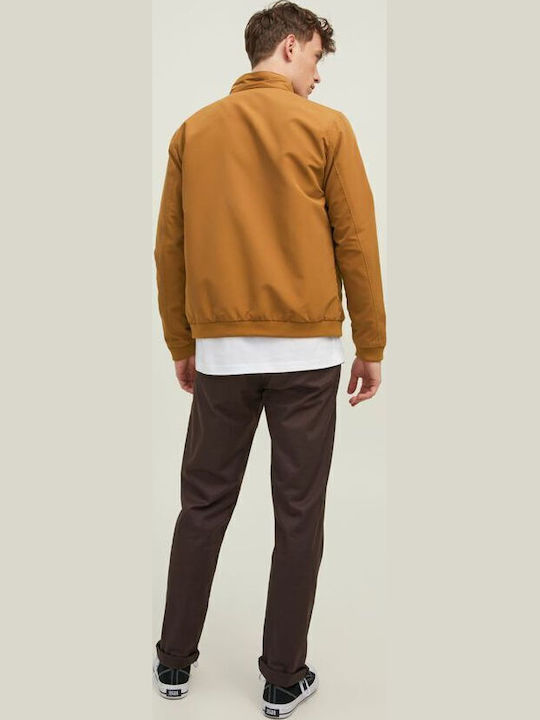 Winter Jacket Bomber Rubber