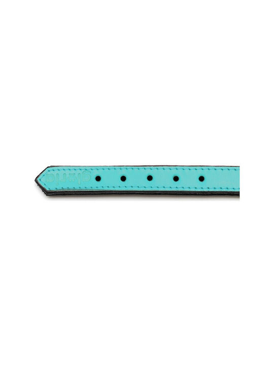 Gloriapets Soft Padded Κολάρο Σκύλου Δερμάτινο σε Τιρκουάζ χρώμα 15mm x 30cm