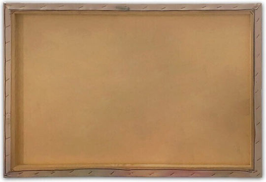 Homeplus O noapte înstelată Tablou pe Pânză 100x70cm