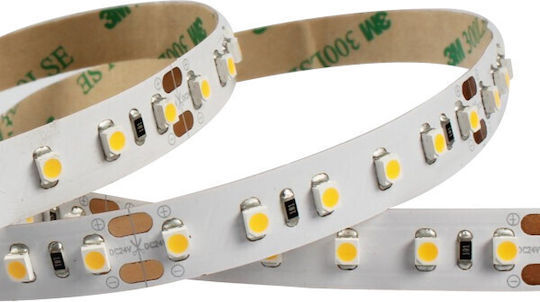 Αδιάβροχη Ταινία LED 12V Μπλε Φως 1m Τύπου SMD3528