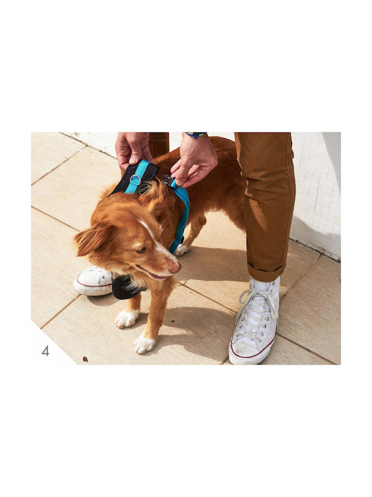 Zee-Dog Σαμαράκι Σκύλου Γιλέκο Air Mesh Mahalo Ροζ Medium 52-62cm 395673