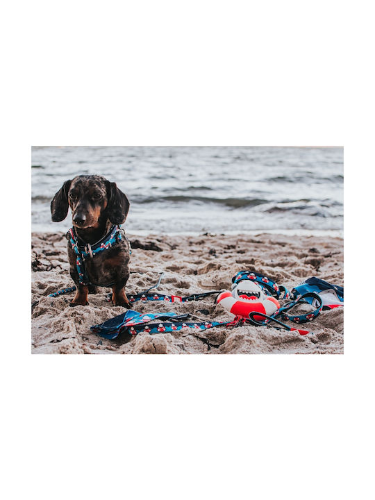 Max & Molly Dog Harness Frenzy Shark Light Blue X-Small 15mm x 32-40cm MM134