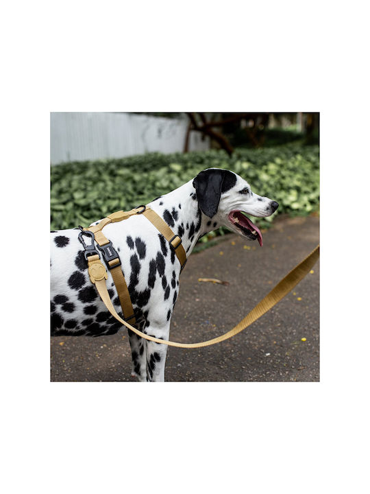 Zee-Dog H-Harness