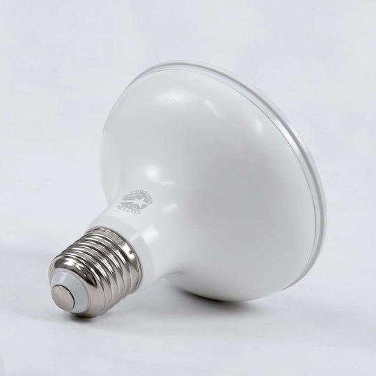 GloboStar LED Bulb 15W 95mm for Socket E27 and Shape PAR30 Warm White 1410lm