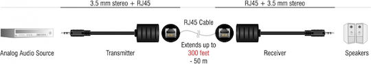 DeLock Конвертор 3.5mm мъжки към RJ-45 женски Черен 2бр 87858