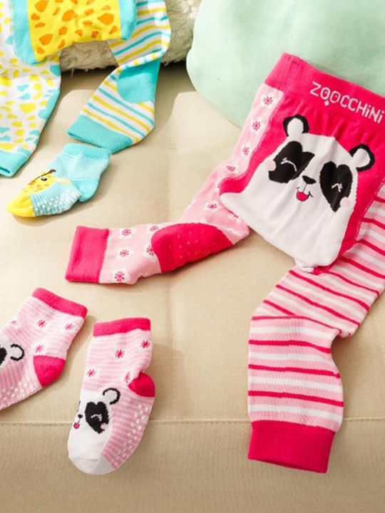 Zoocchini