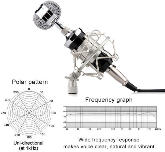 BM-3000 Condenser (Small Diaphragm) Microphone Shock Mounted for Vocals