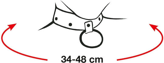 Zado Complete Bondage Harness Σετ για Δέσιμο Λαιμού & Άκρων