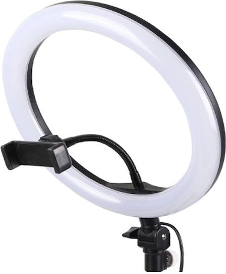 Ringlicht LED USB Stativ 2,2m Ringlicht 26cm 2500 - 4500K mit Bodenstativ und Handyhalter