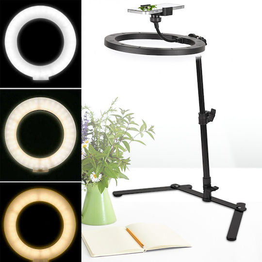 Photo Lamp Led USB Ringlicht 26cm 3200 - 6500K mit Desktop Ständer/Halterung Halterung und Halterung für Handy